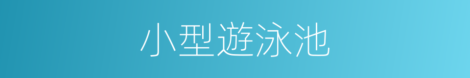 小型遊泳池的同義詞