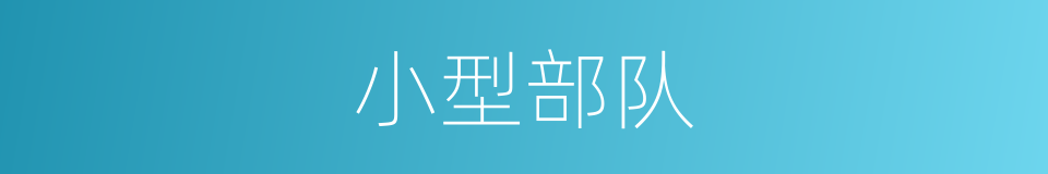 小型部队的同义词