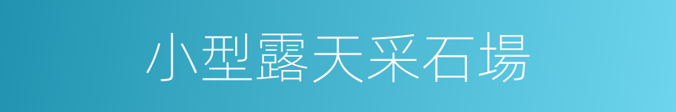 小型露天采石場的同義詞