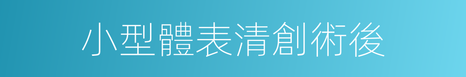 小型體表清創術後的同義詞