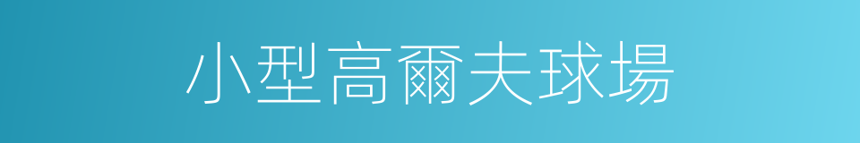 小型高爾夫球場的同義詞