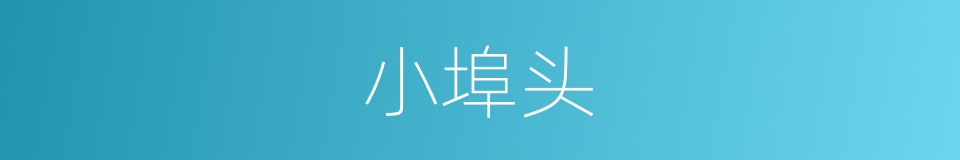 小埠头的同义词