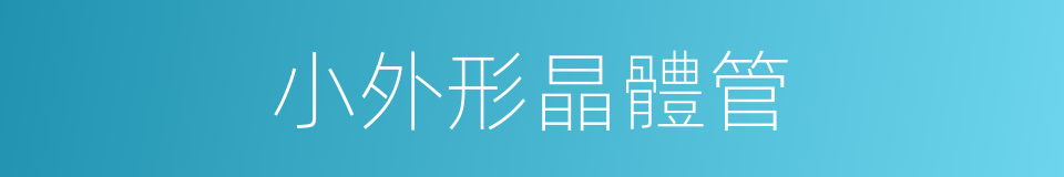 小外形晶體管的同義詞