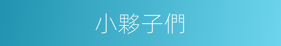 小夥子們的意思