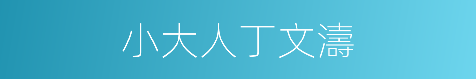 小大人丁文濤的同義詞