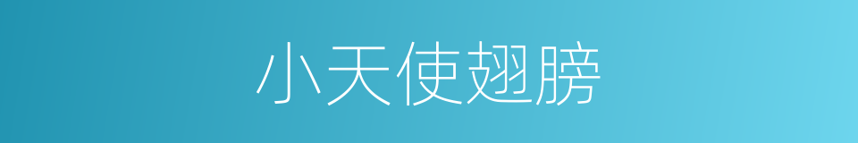 小天使翅膀的同义词