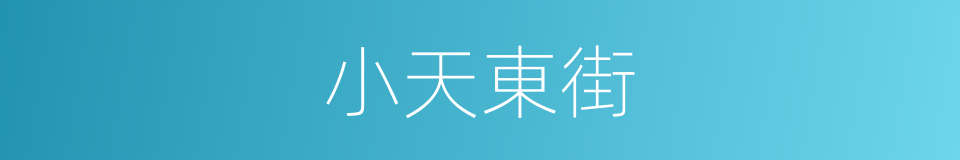 小天東街的同義詞