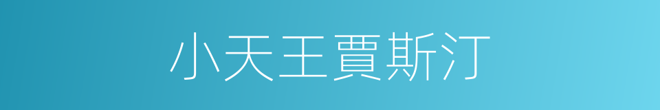 小天王賈斯汀的同義詞