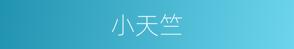小天竺的同义词