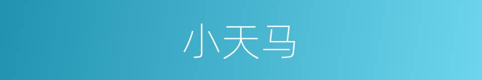 小天马的同义词