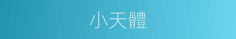 小天體的同義詞