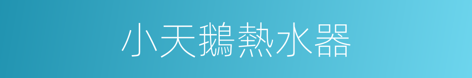 小天鵝熱水器的同義詞