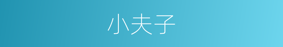 小夫子的同义词