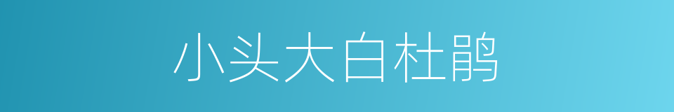 小头大白杜鹃的同义词