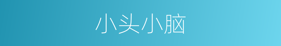 小头小脑的意思