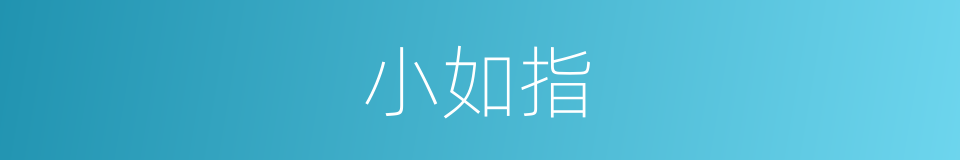 小如指的同义词