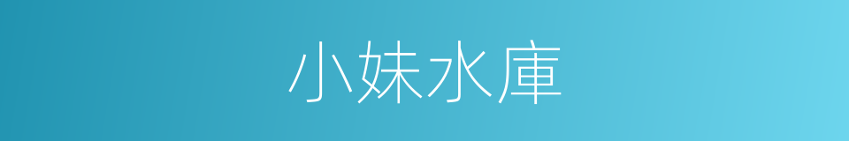 小妹水庫的同義詞