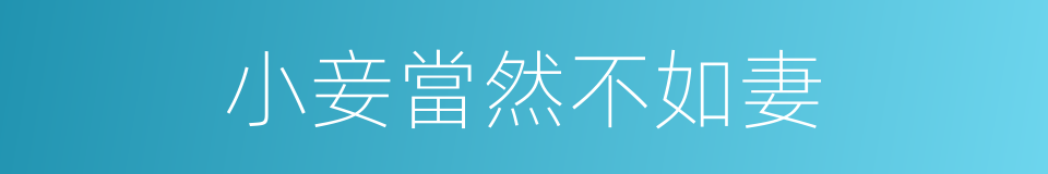 小妾當然不如妻的同義詞