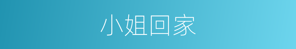 小姐回家的同义词
