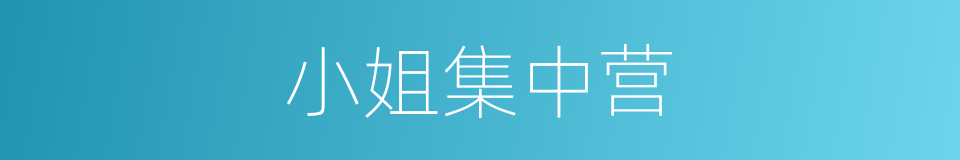 小姐集中营的同义词