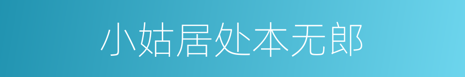 小姑居处本无郎的同义词