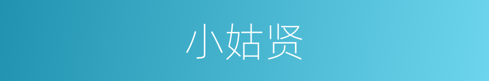 小姑贤的同义词