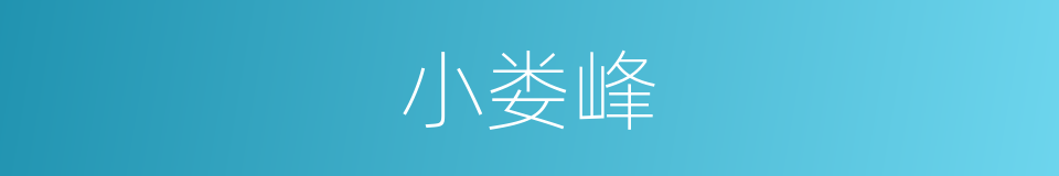 小娄峰的同义词