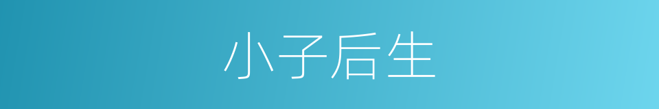 小子后生的意思