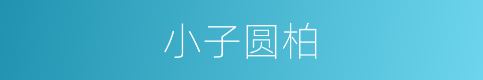 小子圆柏的同义词