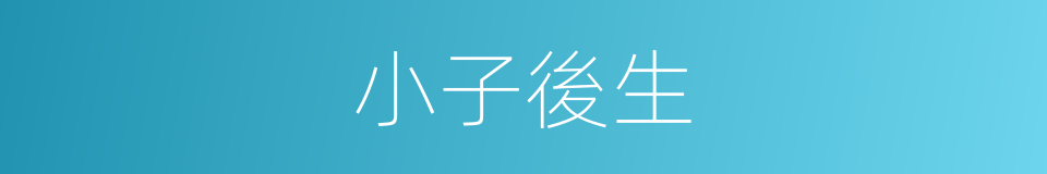 小子後生的意思