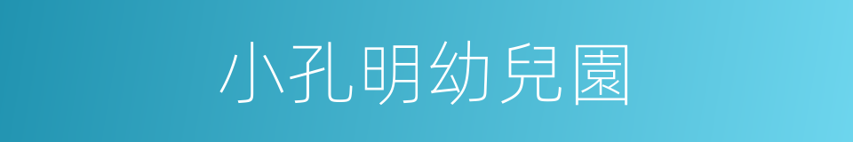 小孔明幼兒園的同義詞
