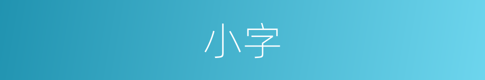 小字的意思