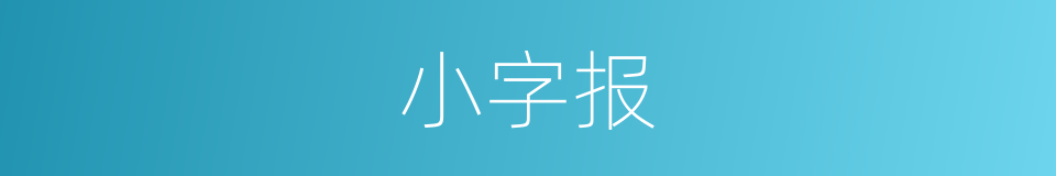 小字报的同义词