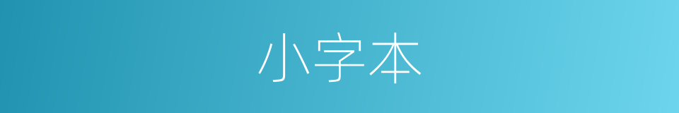 小字本的同义词