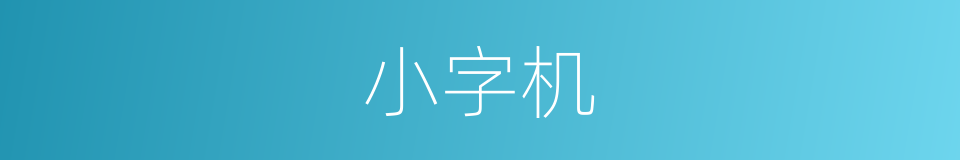 小字机的同义词