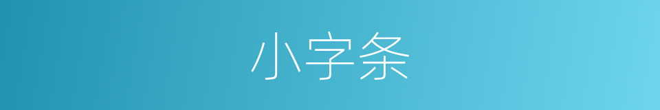 小字条的同义词