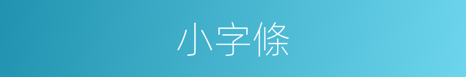 小字條的同義詞