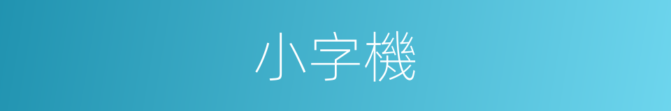 小字機的同義詞