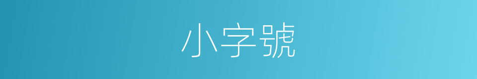 小字號的同義詞