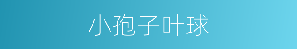 小孢子叶球的同义词