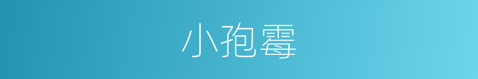 小孢霉的同义词