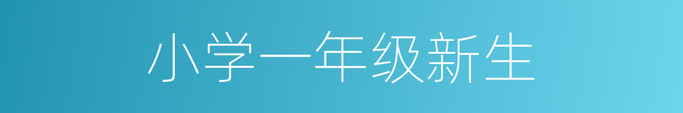 小学一年级新生的同义词