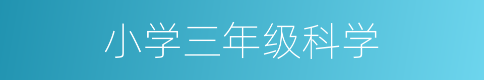 小学三年级科学的同义词