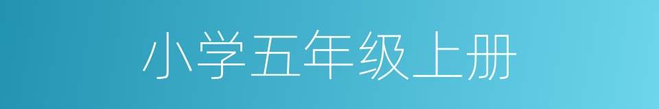 小学五年级上册的同义词