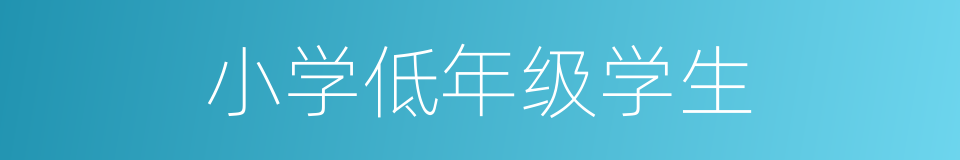 小学低年级学生的同义词