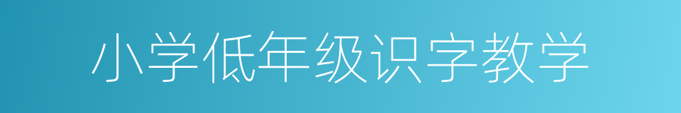 小学低年级识字教学的同义词