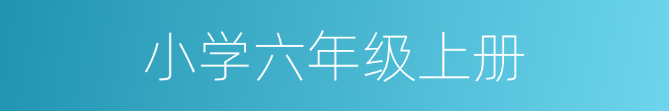 小学六年级上册的同义词