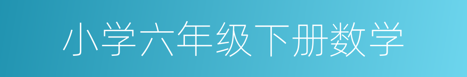 小学六年级下册数学的同义词