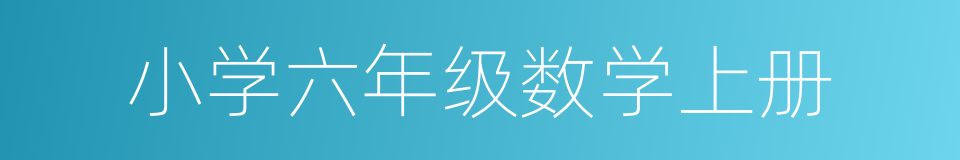 小学六年级数学上册的同义词