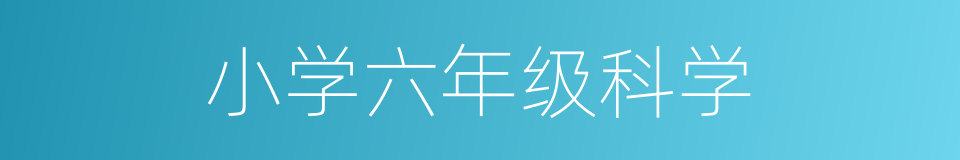 小学六年级科学的同义词